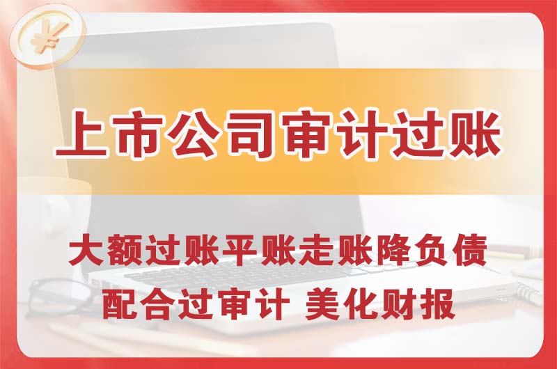 仲恺上市公司审计过账